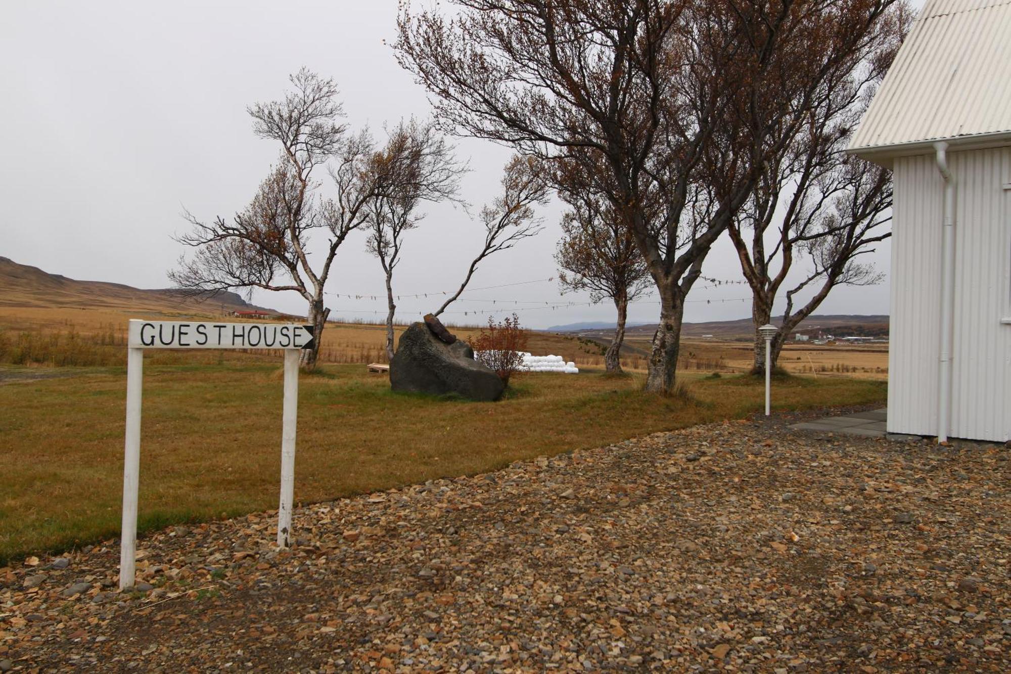 Guesthouse Steindorsstadir, West Iceland เรย์ค็อลต์ ภายนอก รูปภาพ