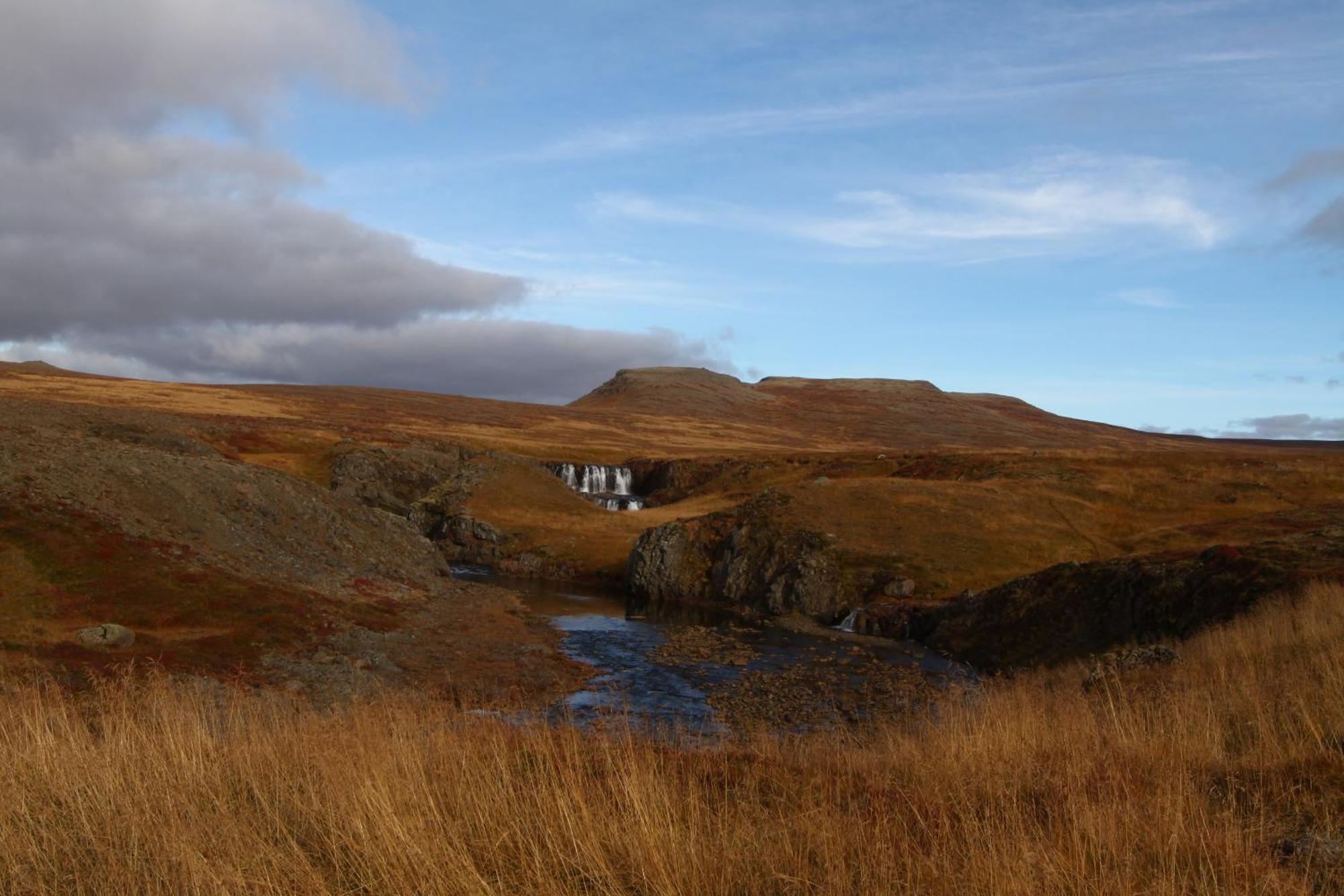 Guesthouse Steindorsstadir, West Iceland เรย์ค็อลต์ ภายนอก รูปภาพ