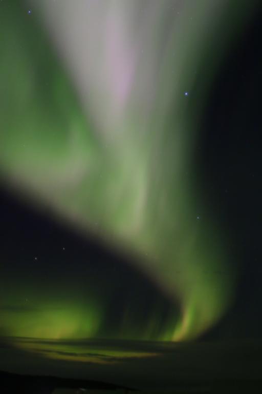Guesthouse Steindorsstadir, West Iceland เรย์ค็อลต์ ภายนอก รูปภาพ
