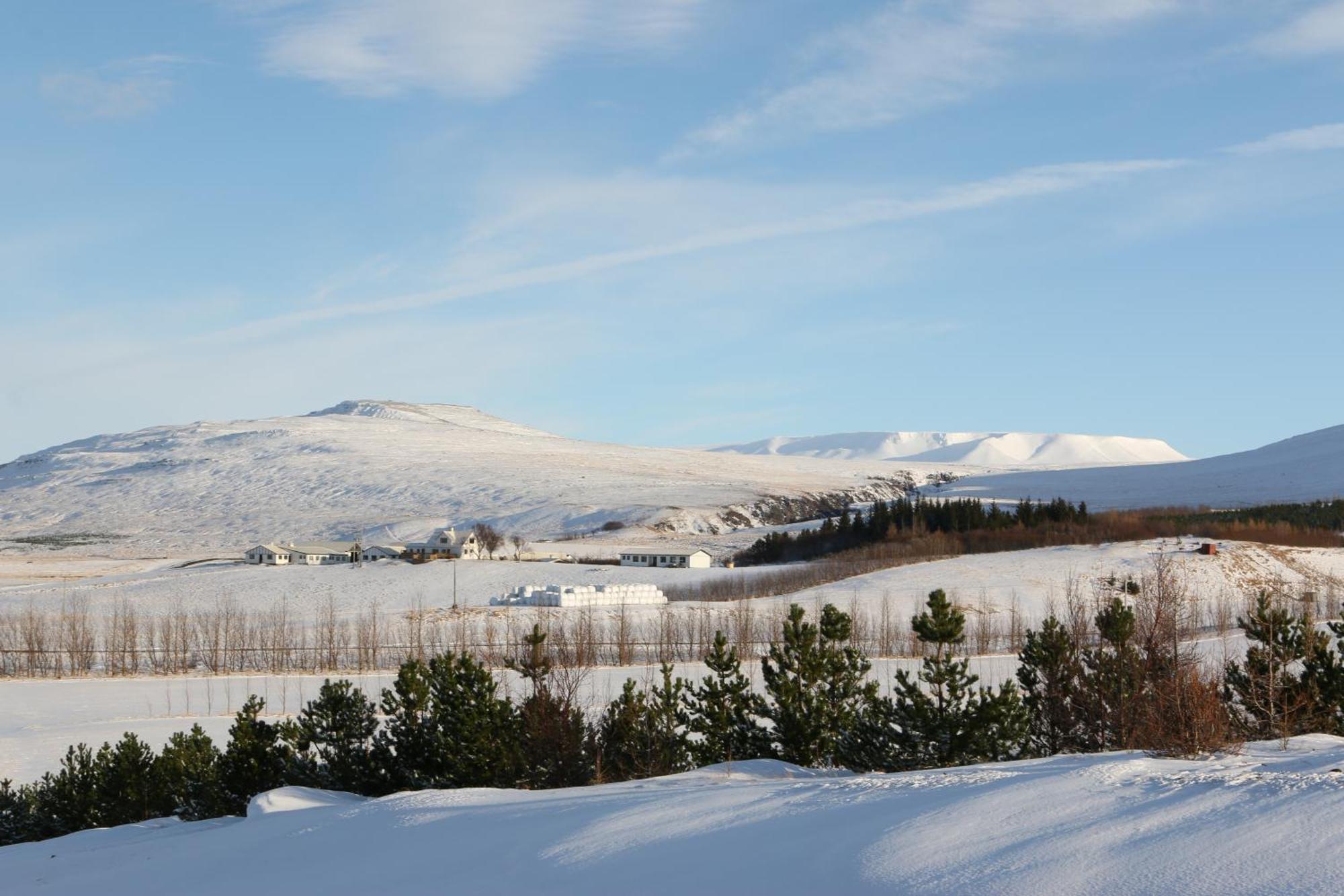 Guesthouse Steindorsstadir, West Iceland เรย์ค็อลต์ ภายนอก รูปภาพ