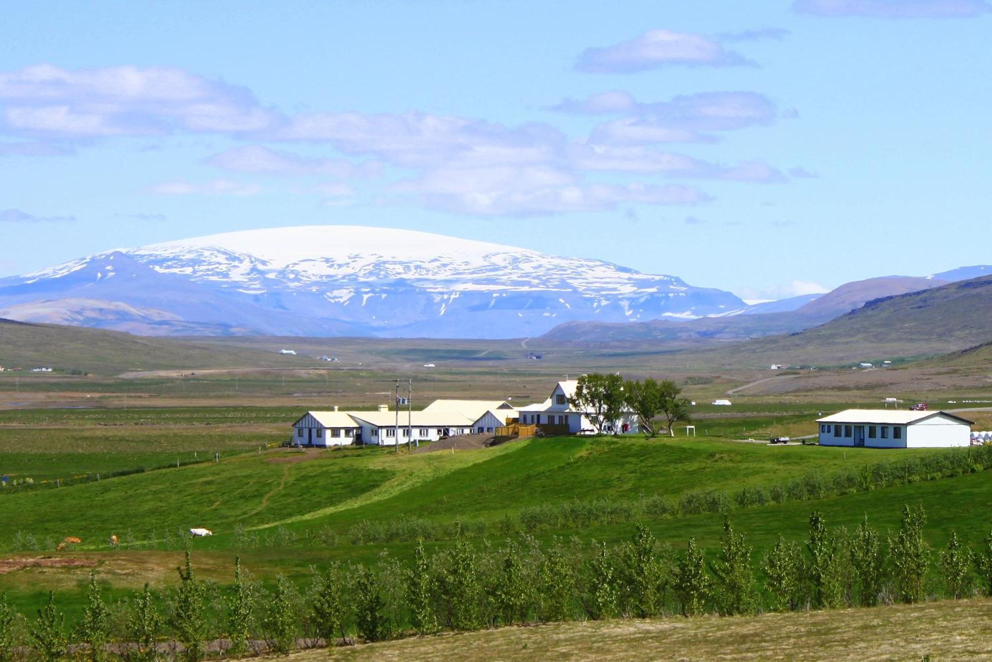 Guesthouse Steindorsstadir, West Iceland เรย์ค็อลต์ ภายนอก รูปภาพ