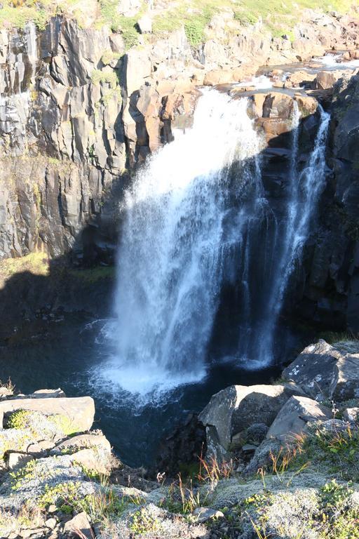 Guesthouse Steindorsstadir, West Iceland เรย์ค็อลต์ ภายนอก รูปภาพ