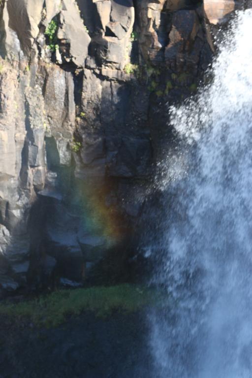Guesthouse Steindorsstadir, West Iceland เรย์ค็อลต์ ภายนอก รูปภาพ
