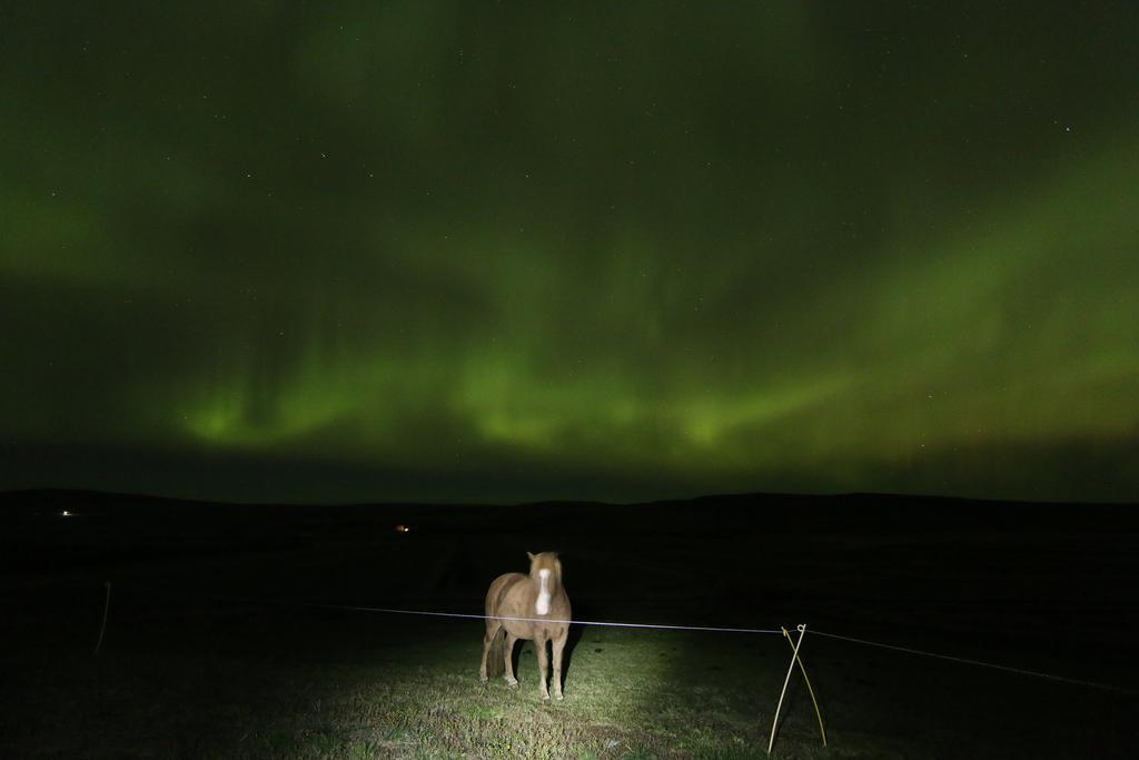 Guesthouse Steindorsstadir, West Iceland เรย์ค็อลต์ ภายนอก รูปภาพ